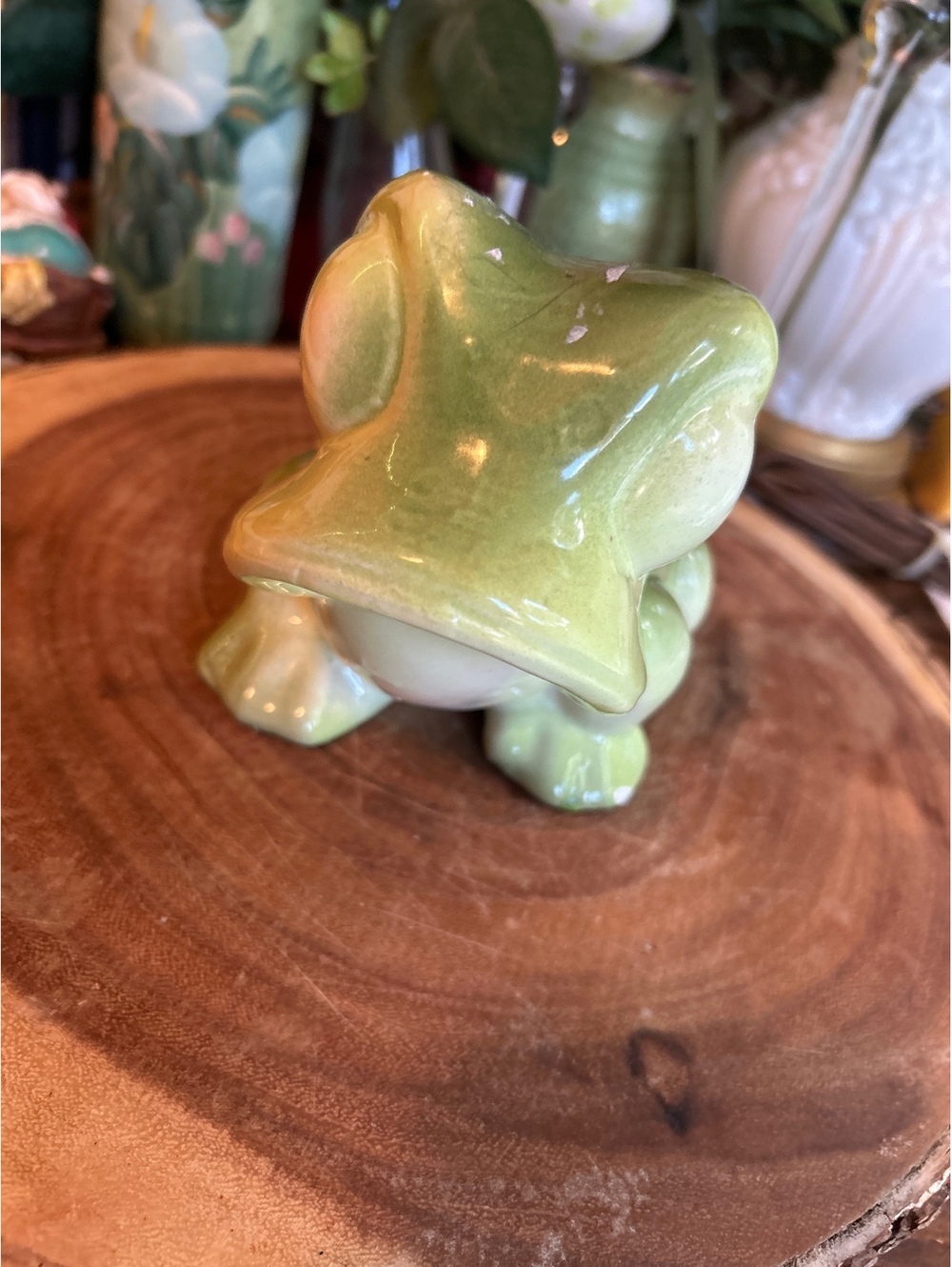 Frog planter- read